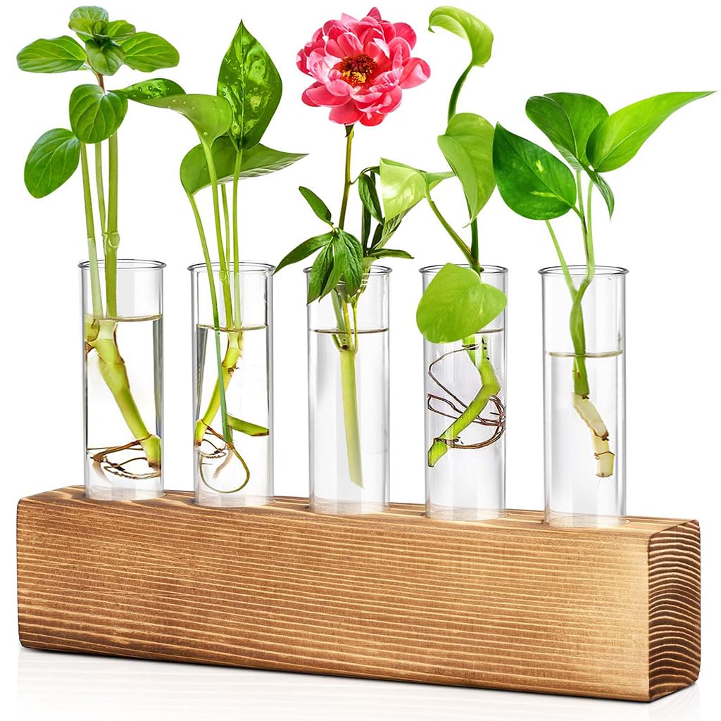 HASTHIP Glass Hydroponic Planters for Indoor Decor with Wooden Stand & 6 Tubes | Ideal Gift