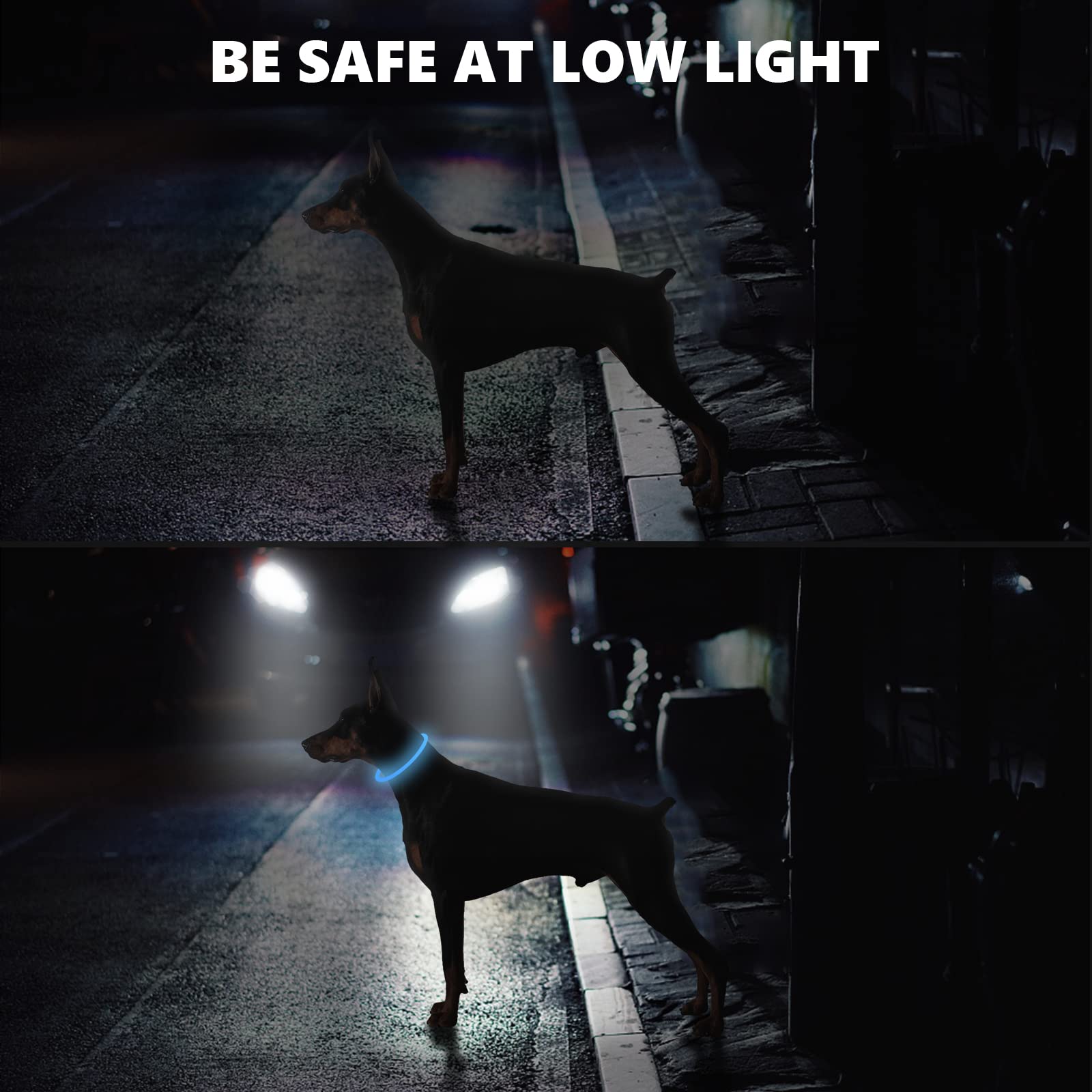 Qpets Dog Collar for Night Safety with Optical Fiber Tube and 7.6 in Cuttable Length | USB Charging