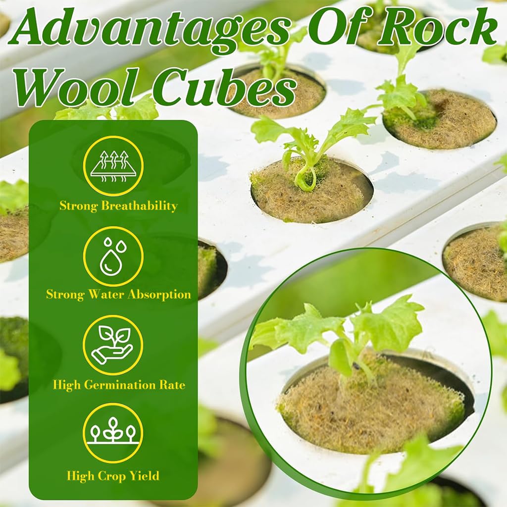 HASTHIP Seed Starter Rockwool for Germination and Cloning with 50 pcs 1 in Cubes | High Density Stonewool for Hydroponic Vegetables and Herbs