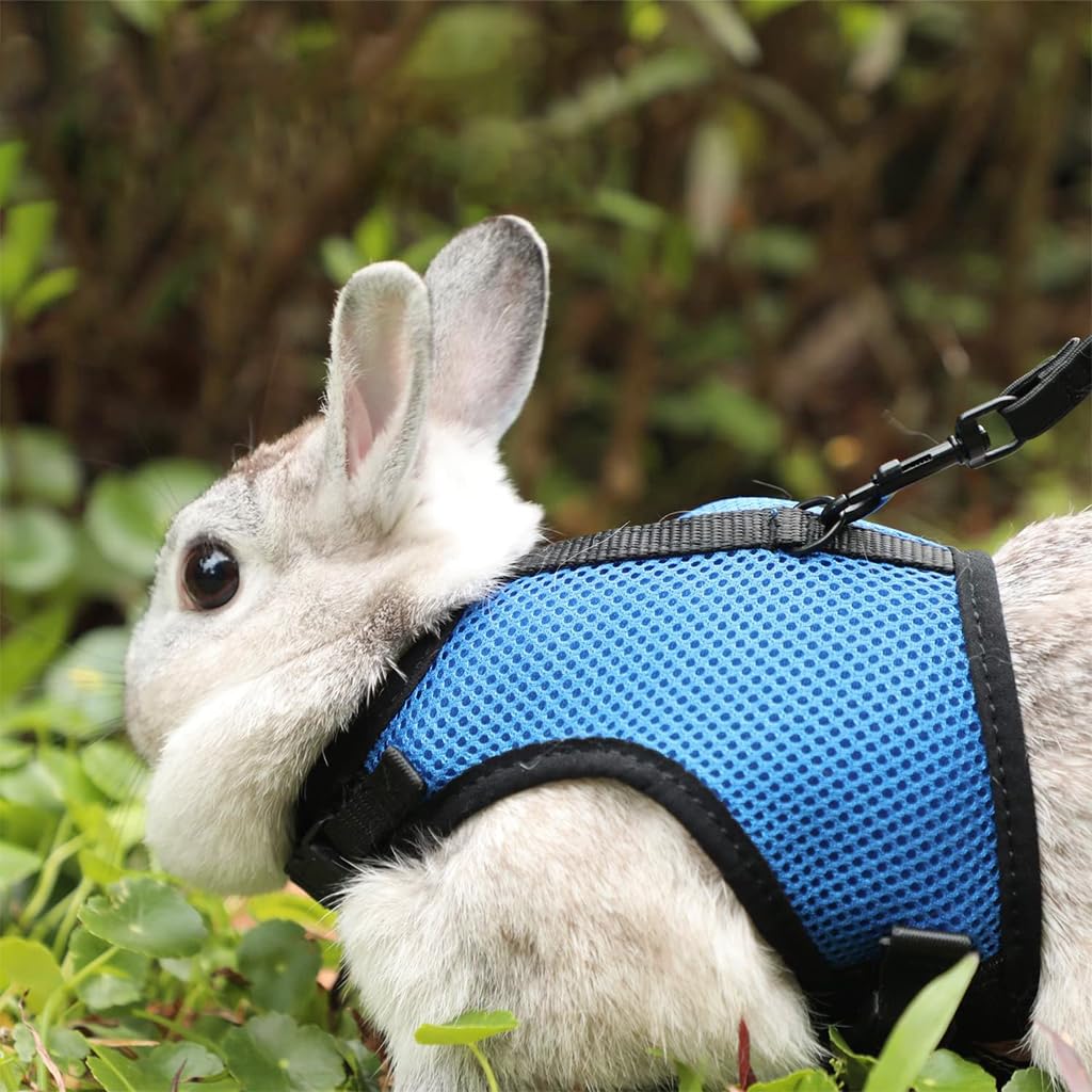 Optifit® Rabbit Harness with Leash Breathable Mesh Harness for Bunny 3.5lbs-6lbs Adjustable Small Pets Harness for Rabbit, Guinea Pigs, Chinchillas (XL, Blue)