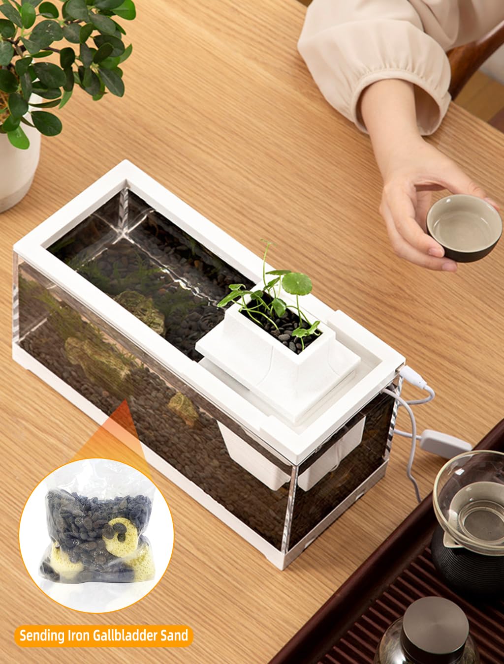 Qpets Mini Betta Fish Tank for Home or Office Decor with LED Lighting and Filtration | Clear Acrylic 30×13×15 cm