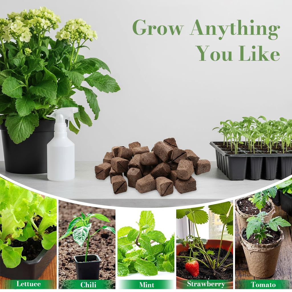 HASTHIP Seedling Sponge Blocks 50 pcs for Hydroponic Gardening featuring Porous Structure & Strong Root Aeration