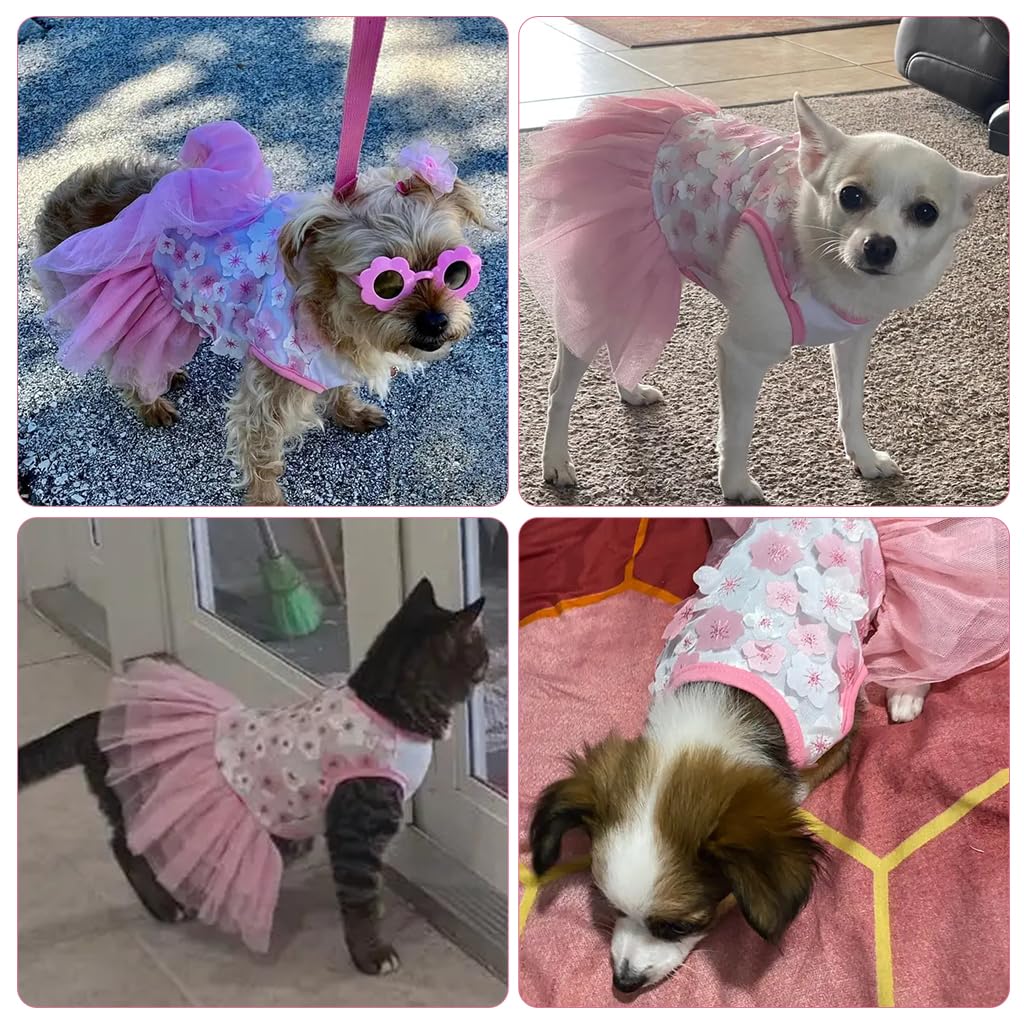 Qpets Dog Clothes for Small Breeds 3.5–4.5kg featuring Lace Skirt and Pink Floral Design