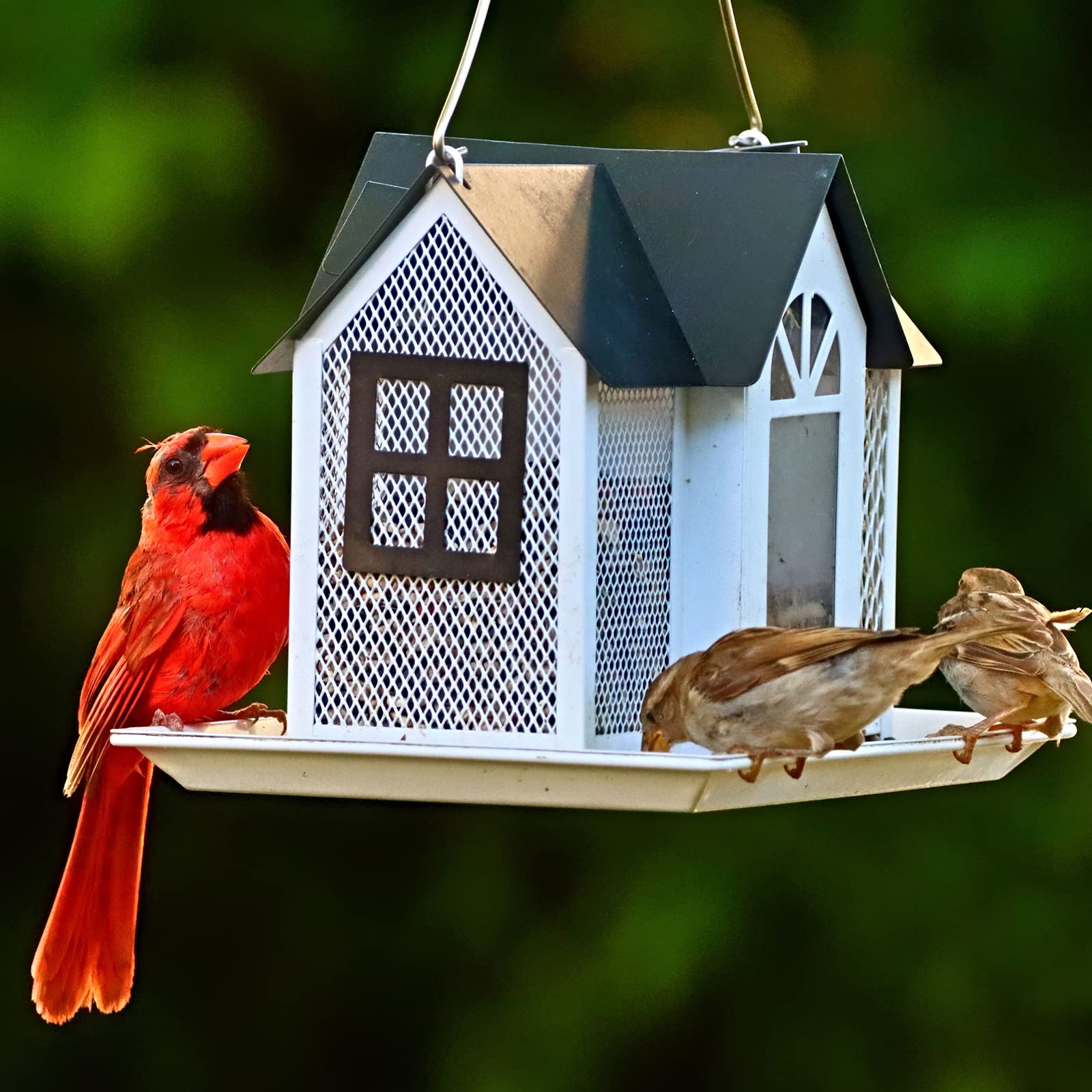 ZIBUYU Hanging Bird Feeder for Tree with 3 Compartment Metal Hut Design and Roof | Decorative Outdoor Feeder for Gardens and Patios