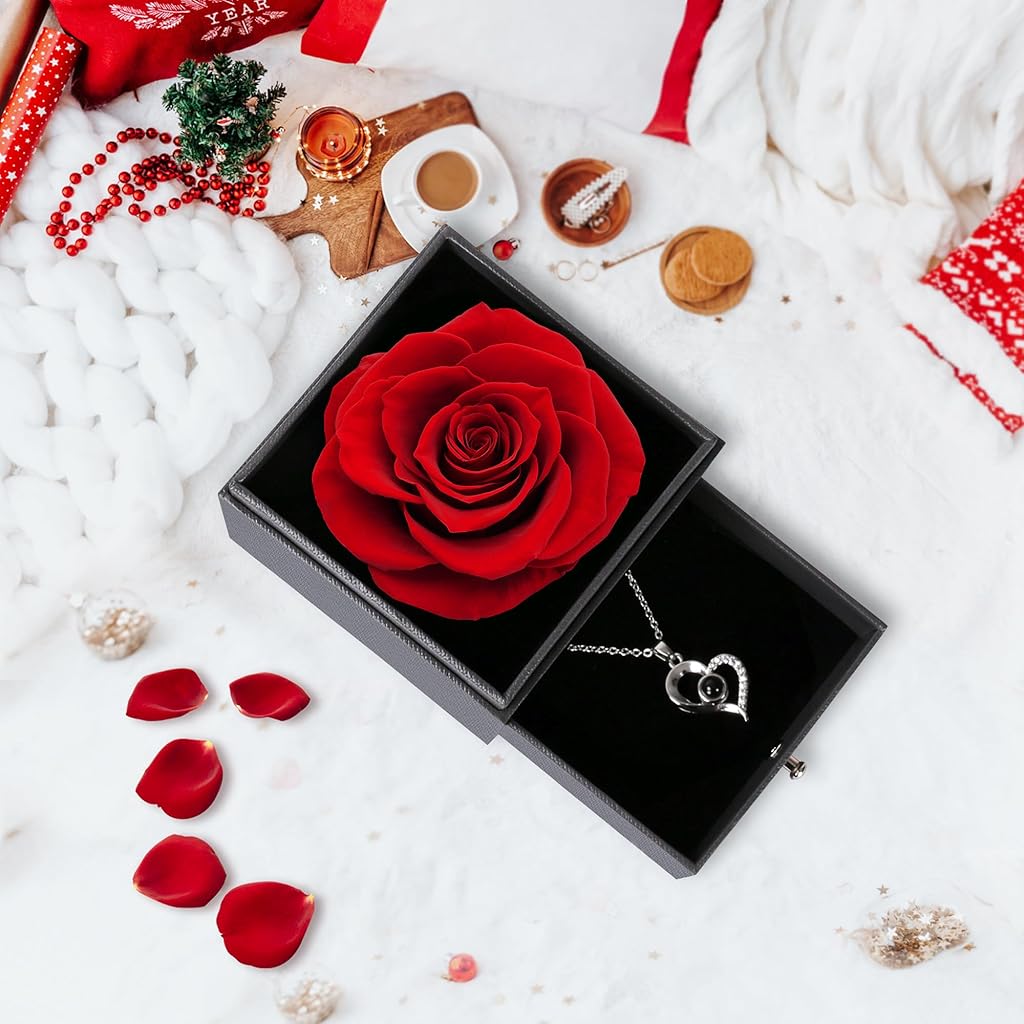 HASTHIP® Heart Pendant Necklace 2Pcs Gift for Mother Silver Necklace Chain with Rose Gift Box Necklaces with I Love You in 100 Languages Birthday Anniversary Couple Gifts for Women Girls Wife Mom
