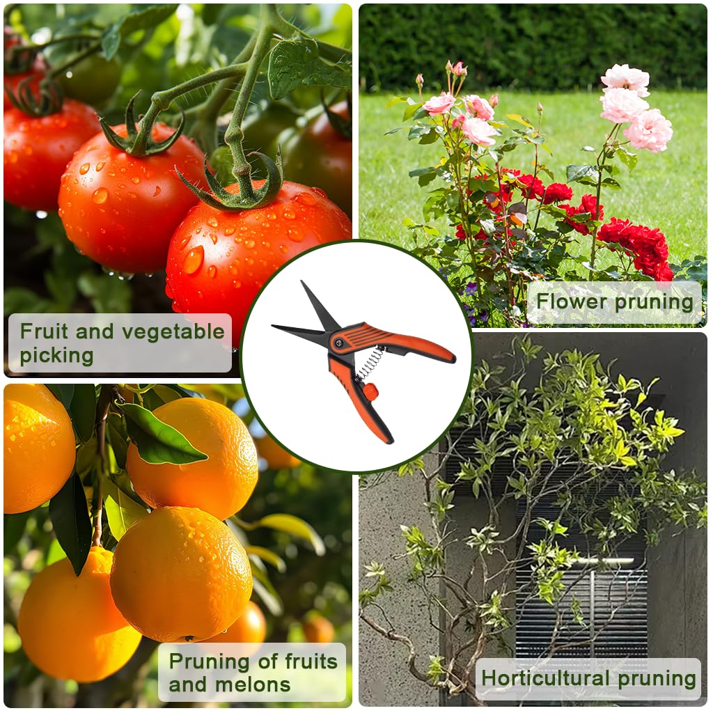 HASTHIP Gardening Scissor for Flower Beds and Orchards with Spring Loaded Design | 16.7cm Stainless Steel Precision Pruner