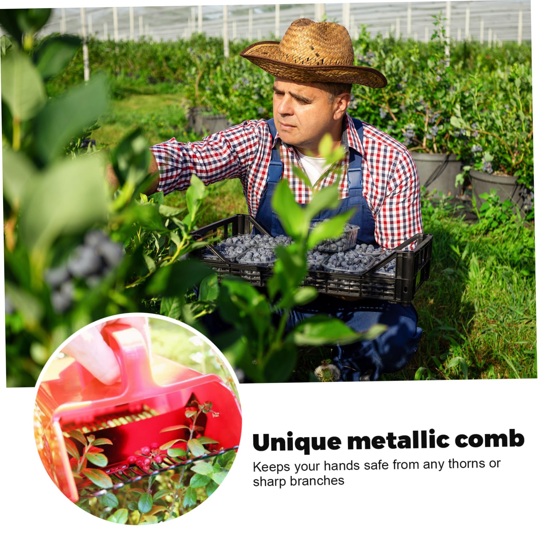 Supvox Berry Picking Tool for Blueberry and Raspberry Harvesting with Metallic Comb Handle | Easy Orchard Fruit Picker