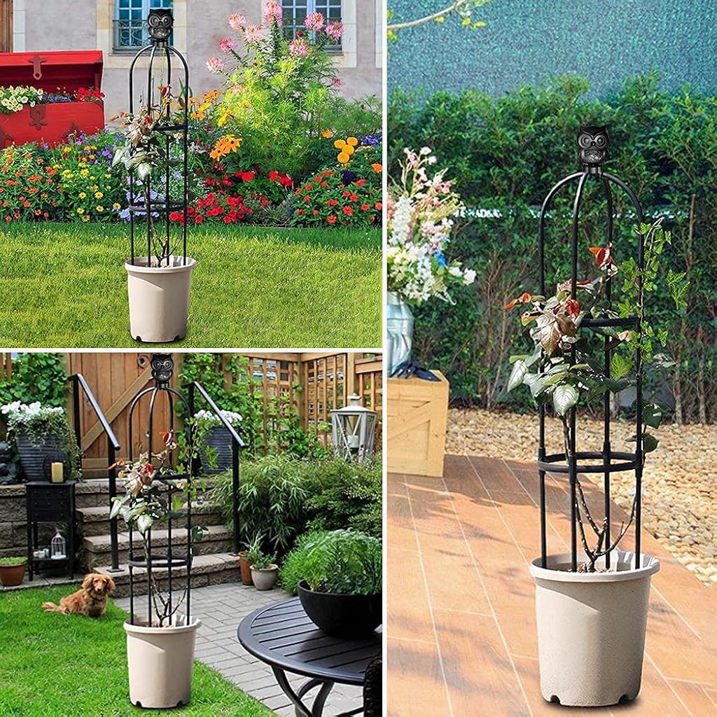 HASTHIP Climbing Trellis for Garden Plants with 145cm Obelisk Structure and Owl Topper | Decorative Support for Flowers and Ivy