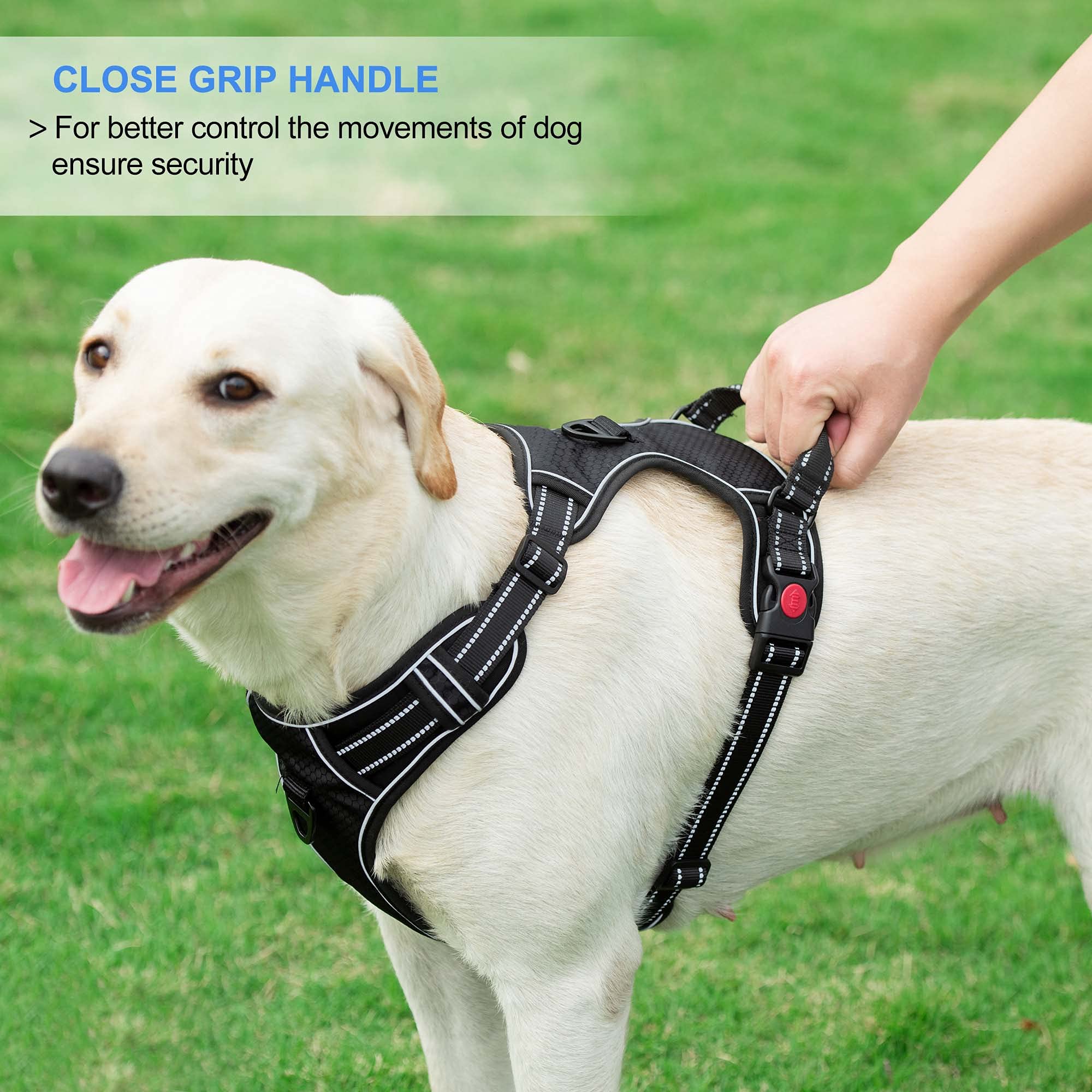 Qpets® Dog Vest Dog Harness for Large Dog with 1.5m Dog Leash Dog Harness with Pulls Handle for Guide Dog, Large Dog, Adjustable Dog Vest Harness with Quick Release Buckle (Suitable 32.5-50kg)