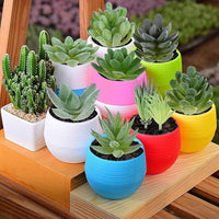 ELEPHANTBOAT® 9Pcs Realistic Mini Green Artificial Succulent Assorted Green Faux Flower Succulent Plants for Indoor, Outdoor, Home Decor