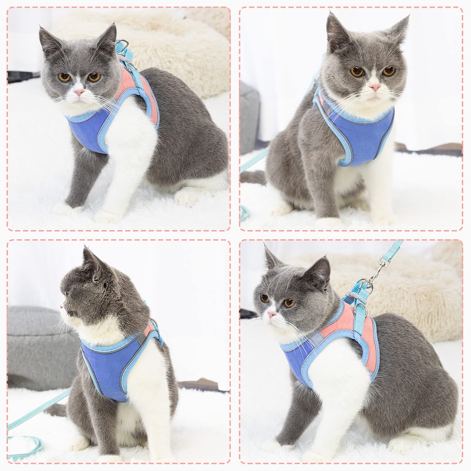 Qpets® Cat Harness with Cat Leash for Walking, Adjustable Soft Sturdy Faux Suede Escape Proof Kitten Vest Harness and Leash with Reflective Strip for Large Medium Small Cat(Blue, Pink, M)