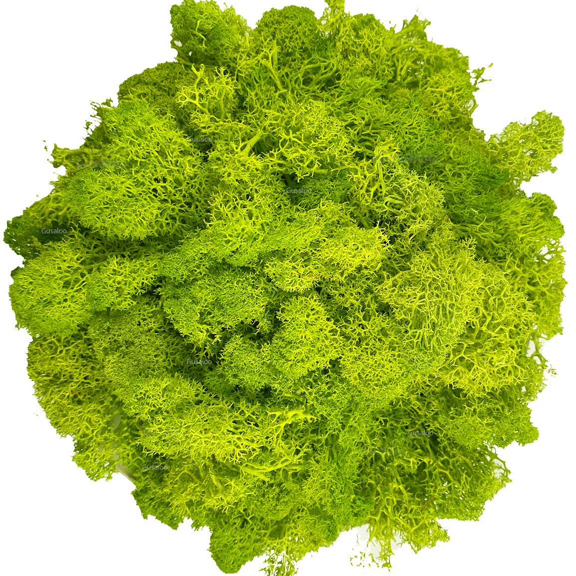 HASTHIP® Moss Preserved Artificial Moss for Potted Plants