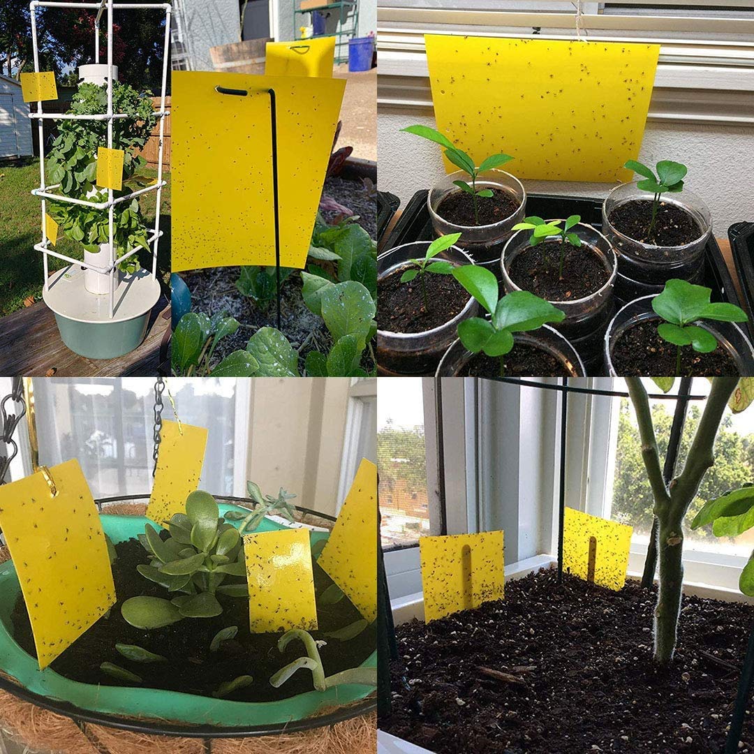 Optifit Fly Trap Kit for Gardens and Greenhouses with 50 Sticky Sheets 20x15cm | Waterproof UV‑Resistant Pest Control