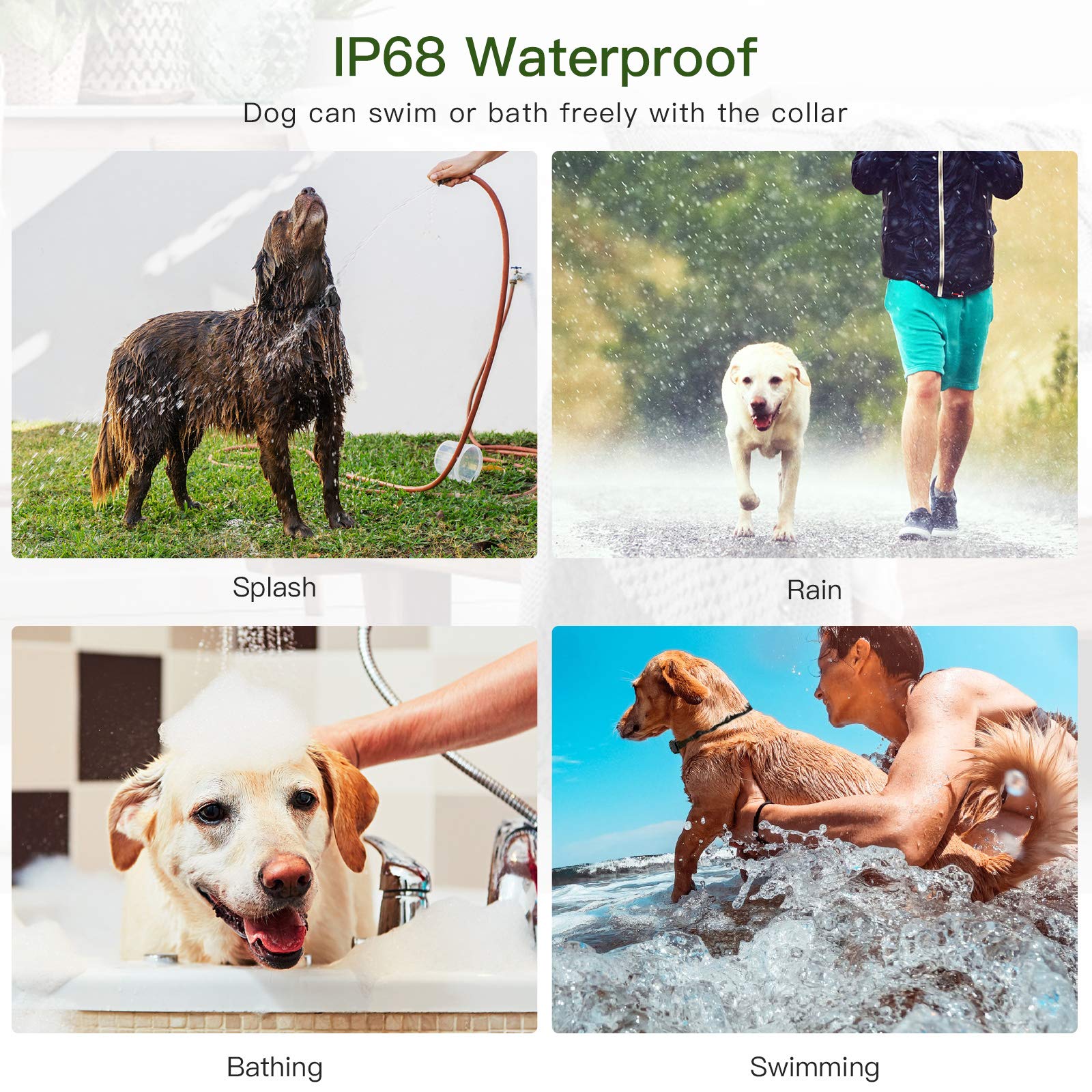 Qpets Dog Training Collar for Behavior Correction with 2600ft Remote & 5 Modes | Waterproof and Safe Design