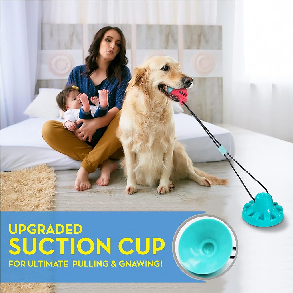 Qpets® Dog Chew Toy Dogs Interactive Toy with Suction Cup TPR Safe Material Teeth Cleaning Toy for Medium, Small Dog, Teething Toys for Puppy Dog Chew Toys