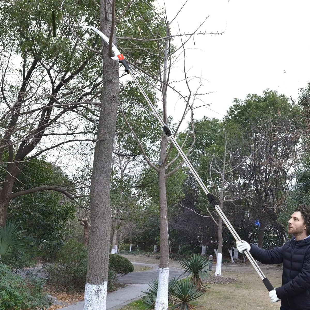 Optifit Telescopic Pruning Saw 9.8 ft for High Branch Cutting with Dual Hook Curved Blade | Stainless Steel Pole