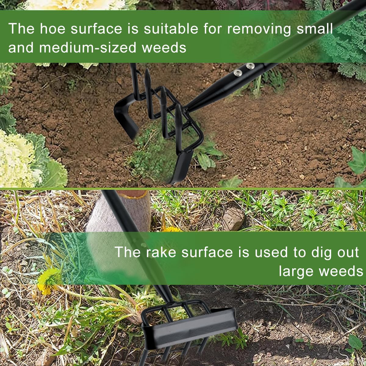 HASTHIP Gardening Weeder for Soil Cultivation featuring 4 Claws and 19.6 in Handle | Manganese Steel Tool