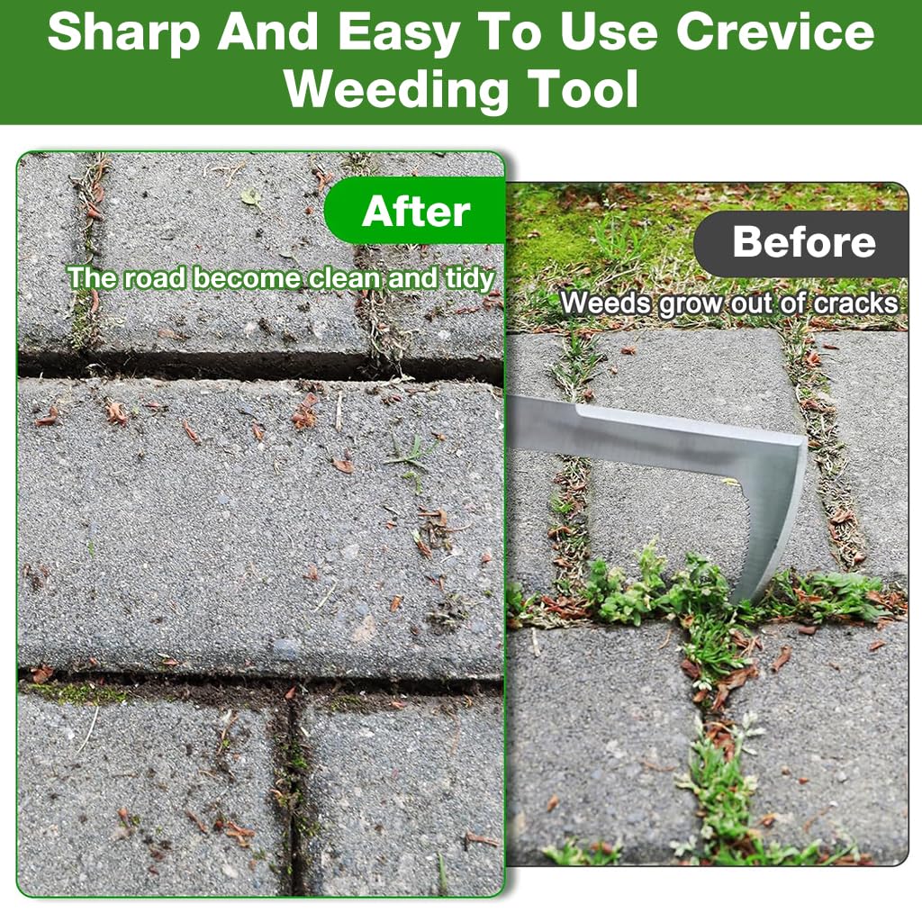 HASTHIP Crack Weeder Tool for Lawn and Yard featuring 30cm Serrated Blade and Wooden Handle