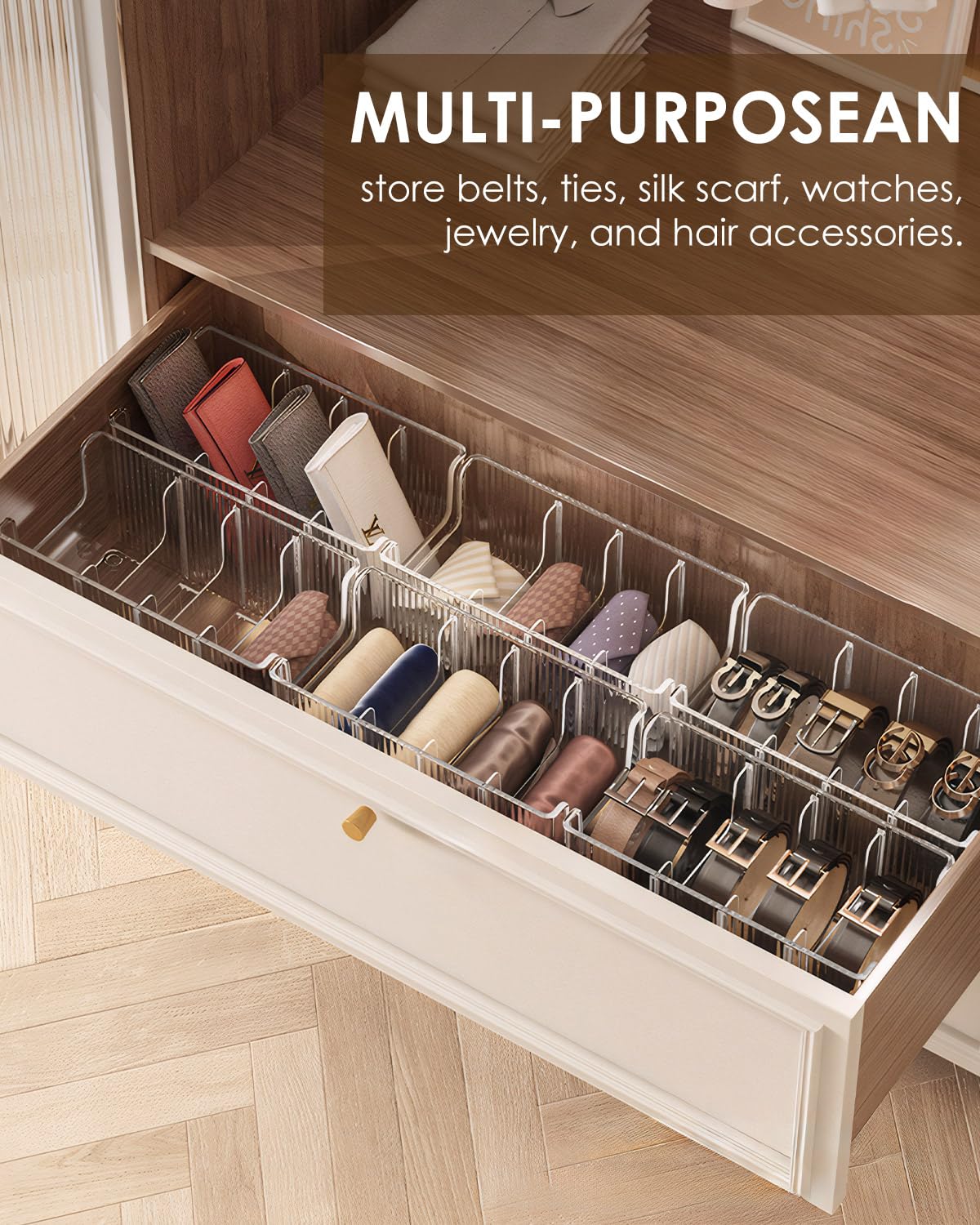 HASTHIP Belts Organizer Case for Wardrobe Storage with Flexible Dividers and Clear PET Boxes 13.5x26x11cm | Pack of 2