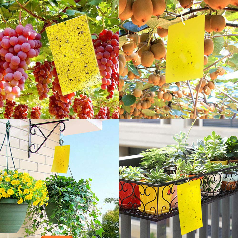 Optifit Fly Trap Kit for Gardens and Greenhouses with 50 Sticky Sheets 20x15cm | Waterproof UV‑Resistant Pest Control