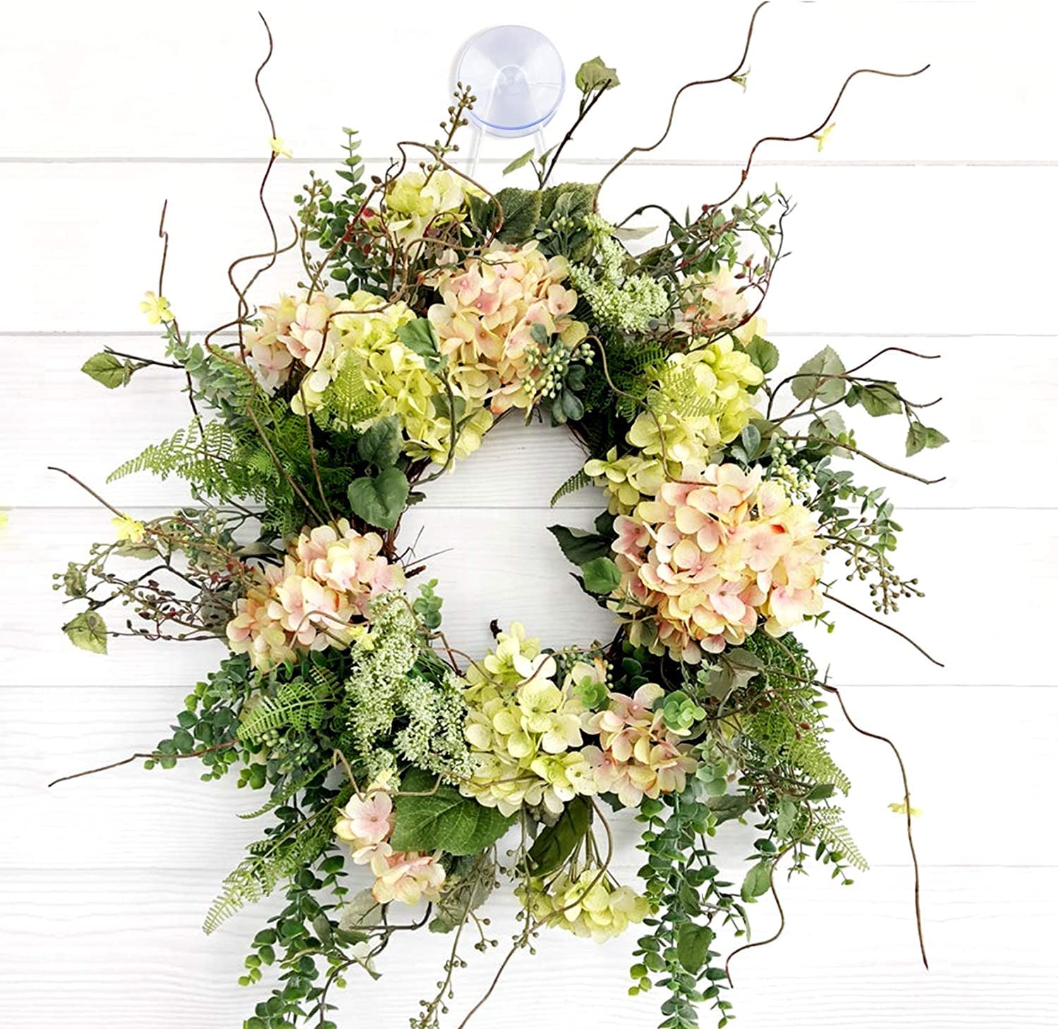 ZIBUYU Suction Cups for Glass with Double Sided PVC Pads 30mm 10 Pcs | Anti Slip Holders