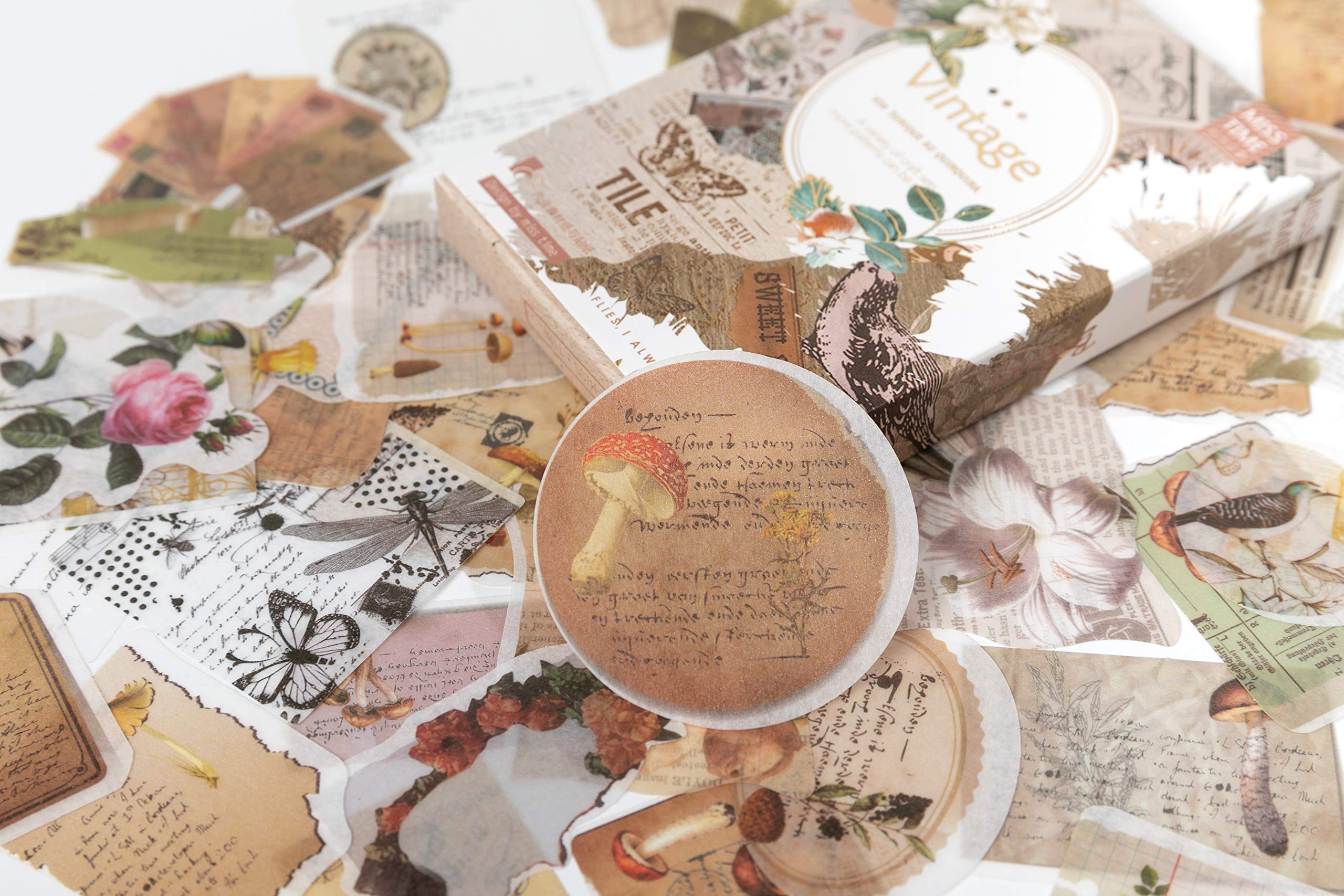 HASTHIP 55 Pcs Stickers Set Mucha Girls Journal Stickers for Planner DIY Decorative Stickers for Scrapbook Journaling Diary Book Planner Art Project 55 Designs (Multi-color2)