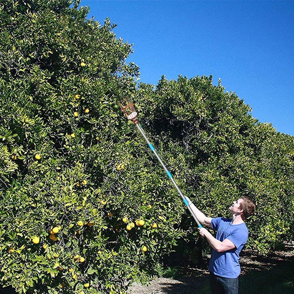 HASTHIP Fruit Picker for Coconut Mango and More with 1.9m Telescopic Pole and 7 Claw Basket
