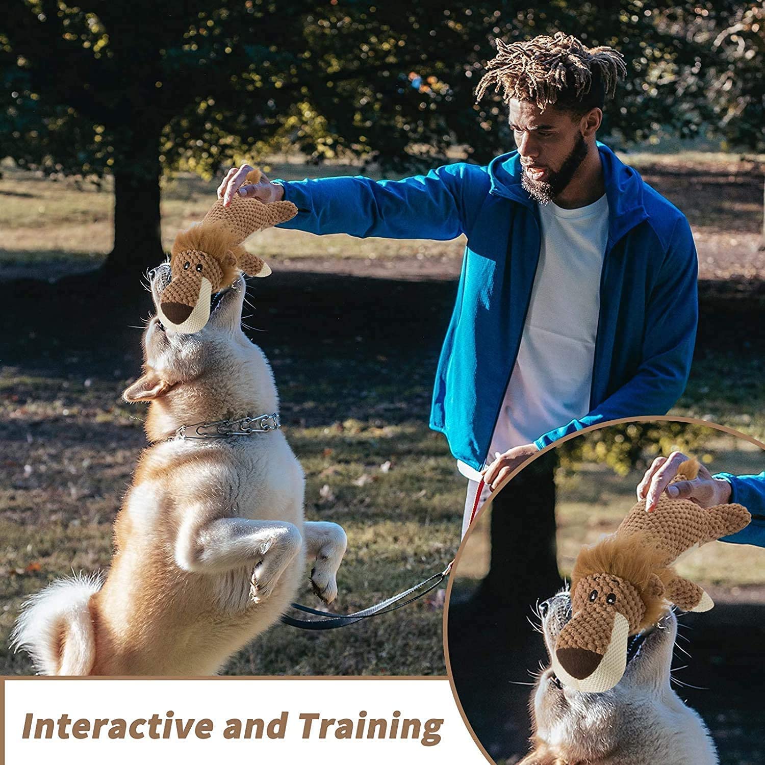 Qpets Dog Toys for Small and Medium Dogs featuring Squeaky Plush Lion 15 Inch | Teeth Cleaning Chew Toy