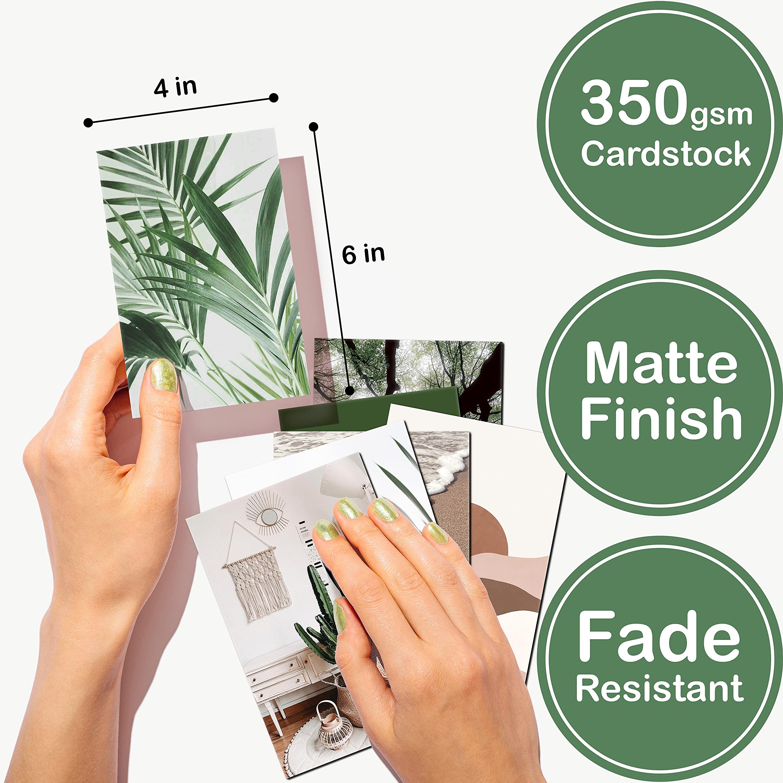 HASTHIP Wall Sticker Photo Display for Room Decor with 50 Sheet 4x6 in Art Cards | Forest and Desert Collection