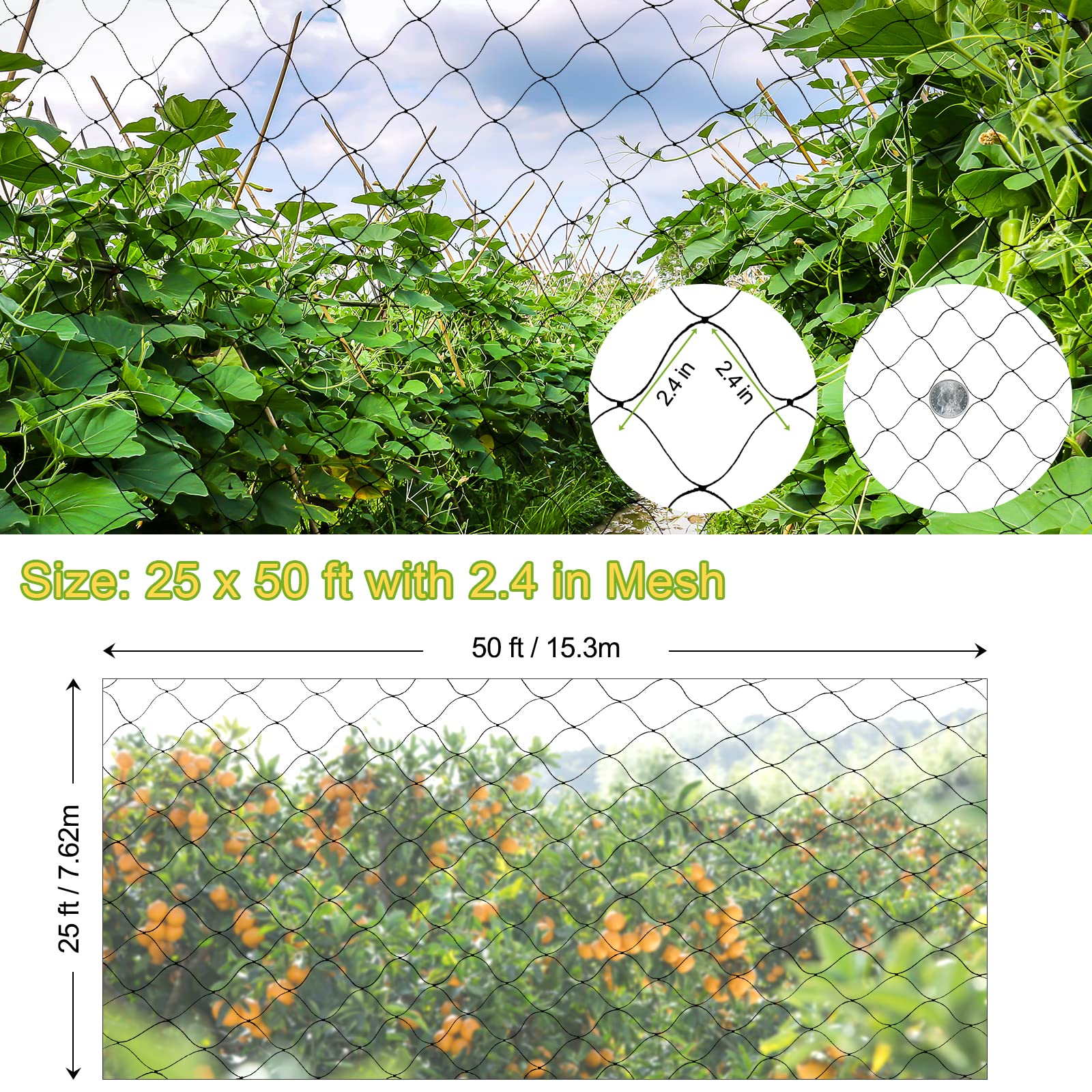 HASTHIP 5*15 ft Creeper Plant Support Net For Agriculture And Gardening, Heavy-Duty Polyester Creepers and Climbers Plants Trellis Netting for Climbing Plants, Vegetables, Fruits, and Flowers