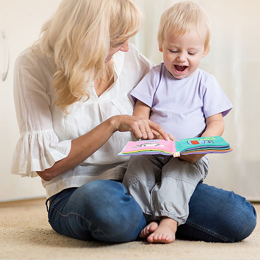 SNOWIE SOFT 6Pcs Baby Cloth Book Travel Baby Play Books 10-Page Themed Books Built in Squeaky Cloth Book Sensory Book Early Educational Books for 6-12 Months Shower Gift Baby Gift