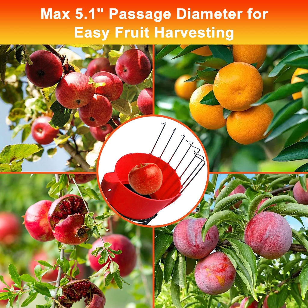 HASTHIP 13Ft Assembly Fruit Picker with Transfer Channel & One-piece Wearable Fruit Bag Extented Long Handle Fruit Picker New No-drop Fruit Picker Fruit Harvesting Tool for Apple, Mango
