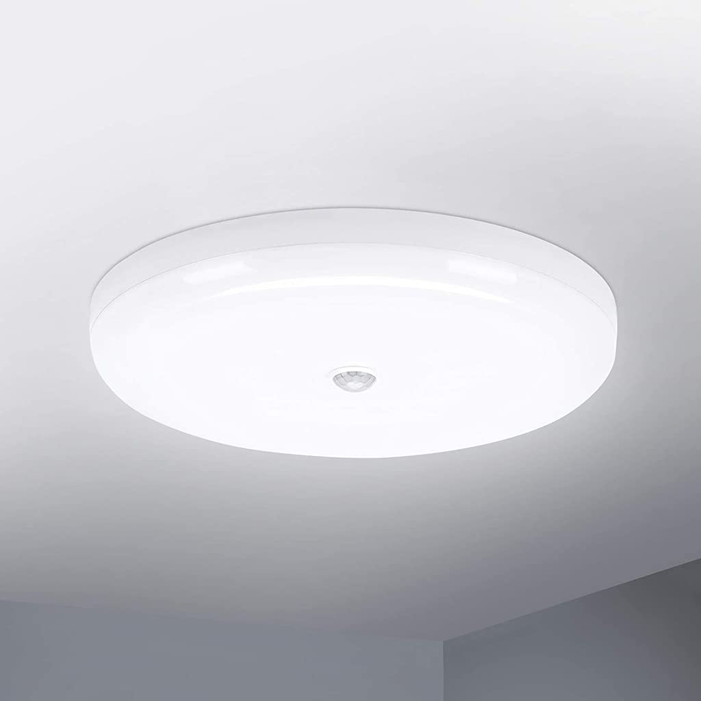 ELEPHANTBOAT 30W Smart Induction Ceiling Light 9.8'' White Light Ceiling Light 6500K IP56 Waterproof LED Ceiling Light for Living Room, Bathroom, Office, Porch, Garage