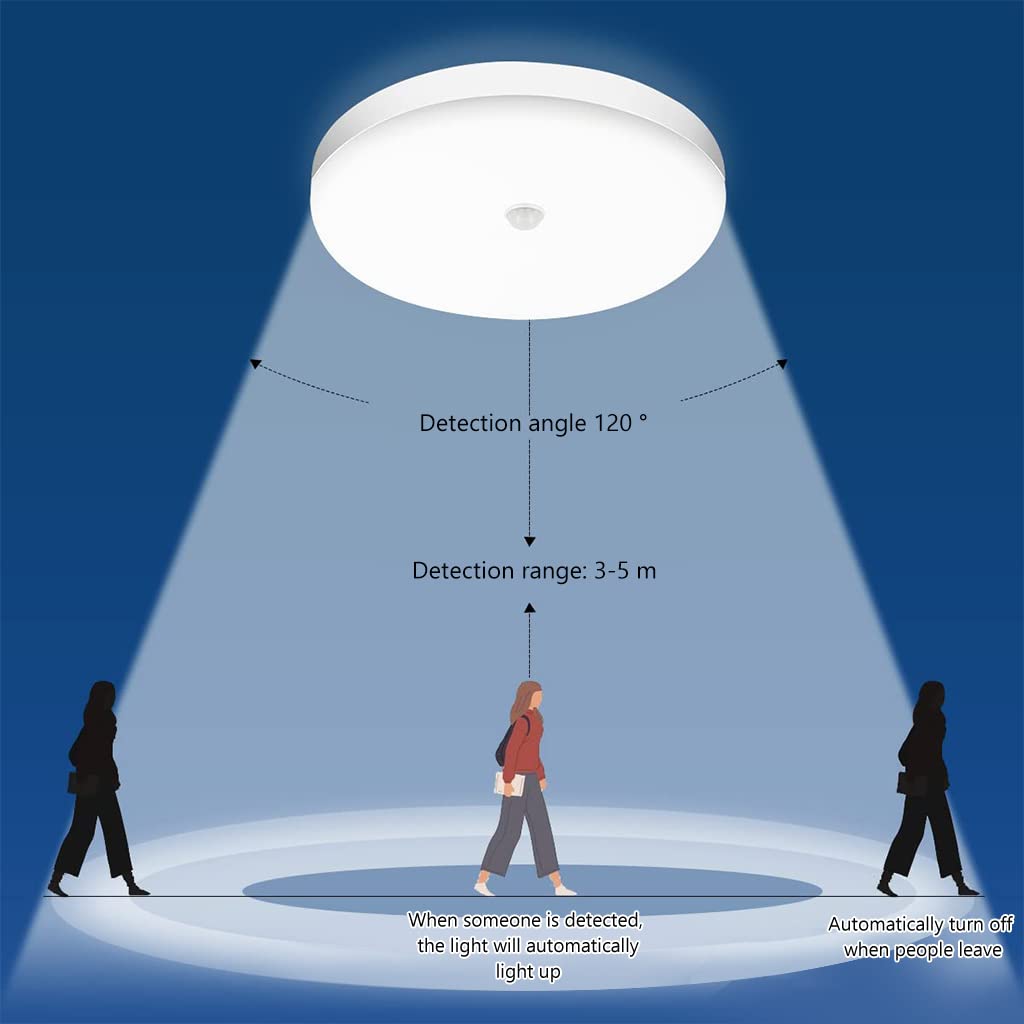 ELEPHANTBOAT 30W Smart Induction Ceiling Light 9.8'' White Light Ceiling Light 6500K IP56 Waterproof LED Ceiling Light for Living Room, Bathroom, Office, Porch, Garage