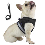 Qpets Dog Vest Harness for Puppy with 1.2m Dog Leash Adjustable Size Dog Vest Harness Breathable Mesh Fabric with Safety Reflective Strip Dog Harness for Small Medium Dogs