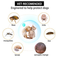 Qpets  Flea and Tick Collar - 8 Month Protection Adjustable Waterproof Collar for Dog Puppy Kitten Cats, Natural & Safe Efficiently Repell Locust Lice of Pets (for Dog and Cat) (Grey)