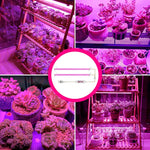 Qpets LED Grow Lights Bars for Indoor Plants, Full Spectrum Strips Auto ON/Off, 8/12/16H Timer, 5 Dimmable Levels High Output USB 5V Grow Lamp Hydroponics Seedling Flower Starting(Pink Purple)