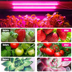 Qpets LED Grow Lights Bars for Indoor Plants, Full Spectrum Strips Auto ON/Off, 8/12/16H Timer, 5 Dimmable Levels High Output USB 5V Grow Lamp Hydroponics Seedling Flower Starting(Pink Purple)