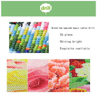 HASTHIP  DIY 5D Diamond Painting Kit by Numbers, Full Diamond Crystal Embroidery,Embroidery Cross Stitch Pictures,Decoration Art Crafts for Home