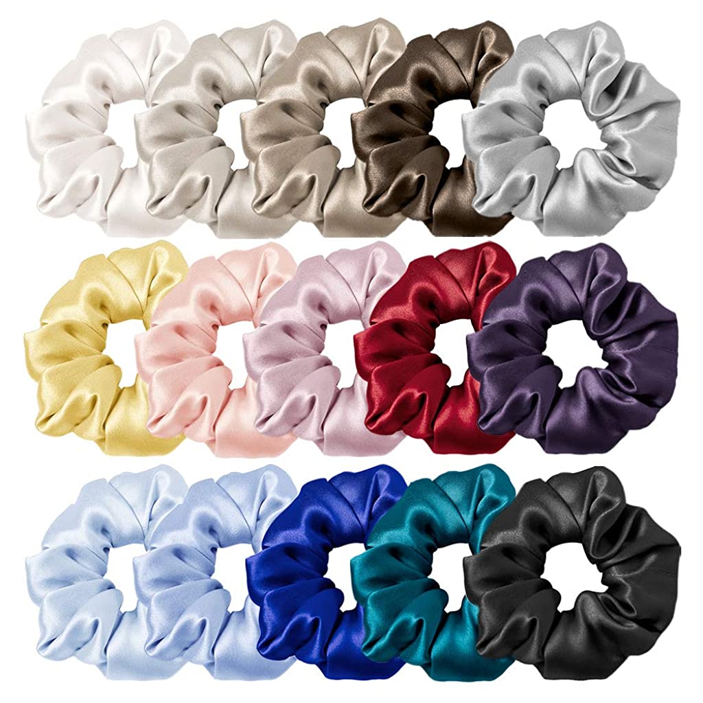 SANNIDHI 10 Pcs Silk Satin Scrunchy Scrunchies for Girls Ladies Women,12 color Elastic Hair Band for Ponytails, Twists, Long hair, Medium Length Hair -Gifts