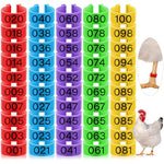 Qpets® 100pcs Chicken Leg Rings, 5-Color Poultry Leg Rings for Identification with Laser Number Mark 1.6cm Diameter Poultry Leg Rings for Chicken, Duck, Goose, Pigeon, Rusable Clip on Leg Ring