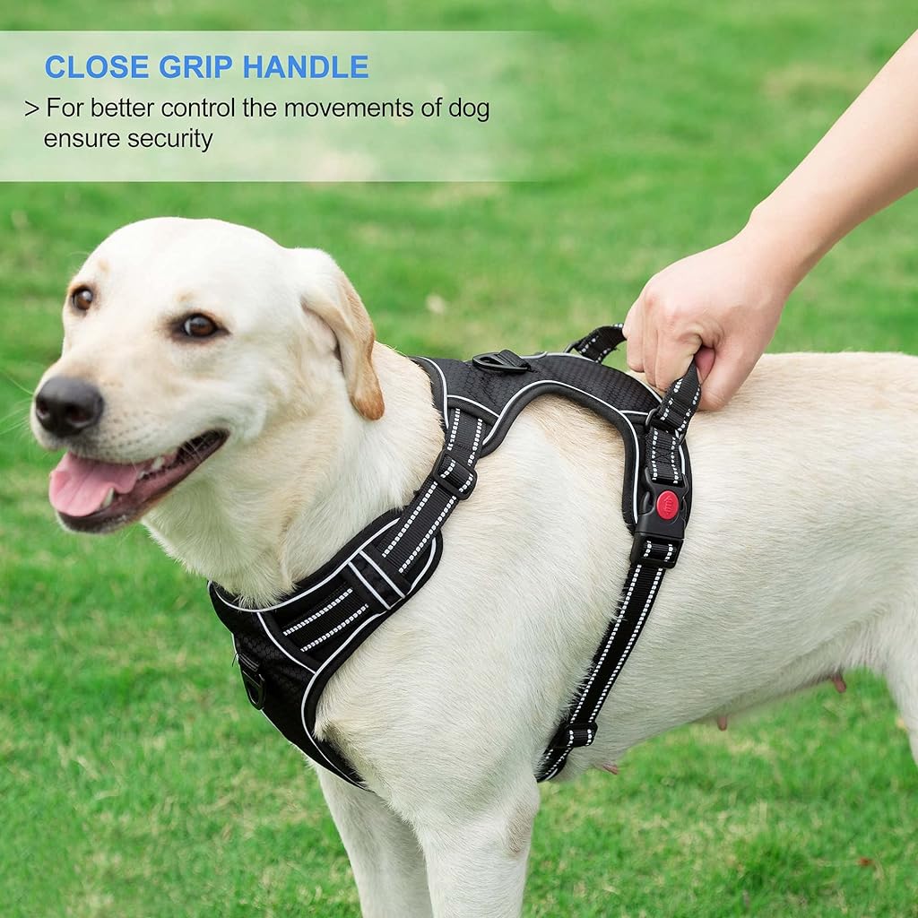 Qpets® Dog Vest Dog Harness for Large Dog with 1.5m Dog Leash Dog Harness with Pulls Handle for Guide Dog, Large Dog, Adjustable Dog Vest Harness with Quick Release Buckle (Suitable 18-33kg)