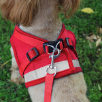 Qpets  Dog Vest Harness for Puppy with 1.2m Dog Leash Adjustable Size Dog Vest Harness Breathable Mesh Fabric with Safety Reflective Strip Dog Harness for Dogs of 7.5kg-10kg,(XL, Red)