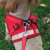 Qpets  Dog Vest Harness for Puppy with 1.2m Dog Leash Adjustable Size Dog Vest Harness Breathable Mesh Fabric with Safety Reflective Strip Dog Harness for Dogs of 7.5kg-10kg,(XL, Red)