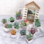 HASTHIP 12pcs Artificial Succulent Plants, Color Artificial Succulent Green Plant, Fake Textured Succulent for Indoor Outdoor Floral Arrangement Home Decor and DIY Landscape Decorations