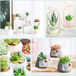 HASTHIP 12pcs Artificial Succulent Plants, Color Artificial Succulent Green Plant, Fake Textured Succulent for Indoor Outdoor Floral Arrangement Home Decor and DIY Landscape Decorations