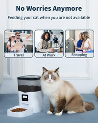 Qpets Automatic Pet Feeder, 3L Dog Feeder Pet Food Plastic Dispenser With Programmable Timer, Portion Control 1-4 Meals Per Day, Dual Power Supply For Small Medium Cats Dog Food Stand