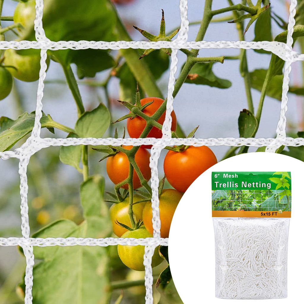 HASTHIP 5*15 ft Creeper Plant Support Net For Agriculture And Gardening, Heavy-Duty Polyester Creepers and Climbers Plants Trellis Netting for Climbing Plants, Vegetables, Fruits, and Flowers