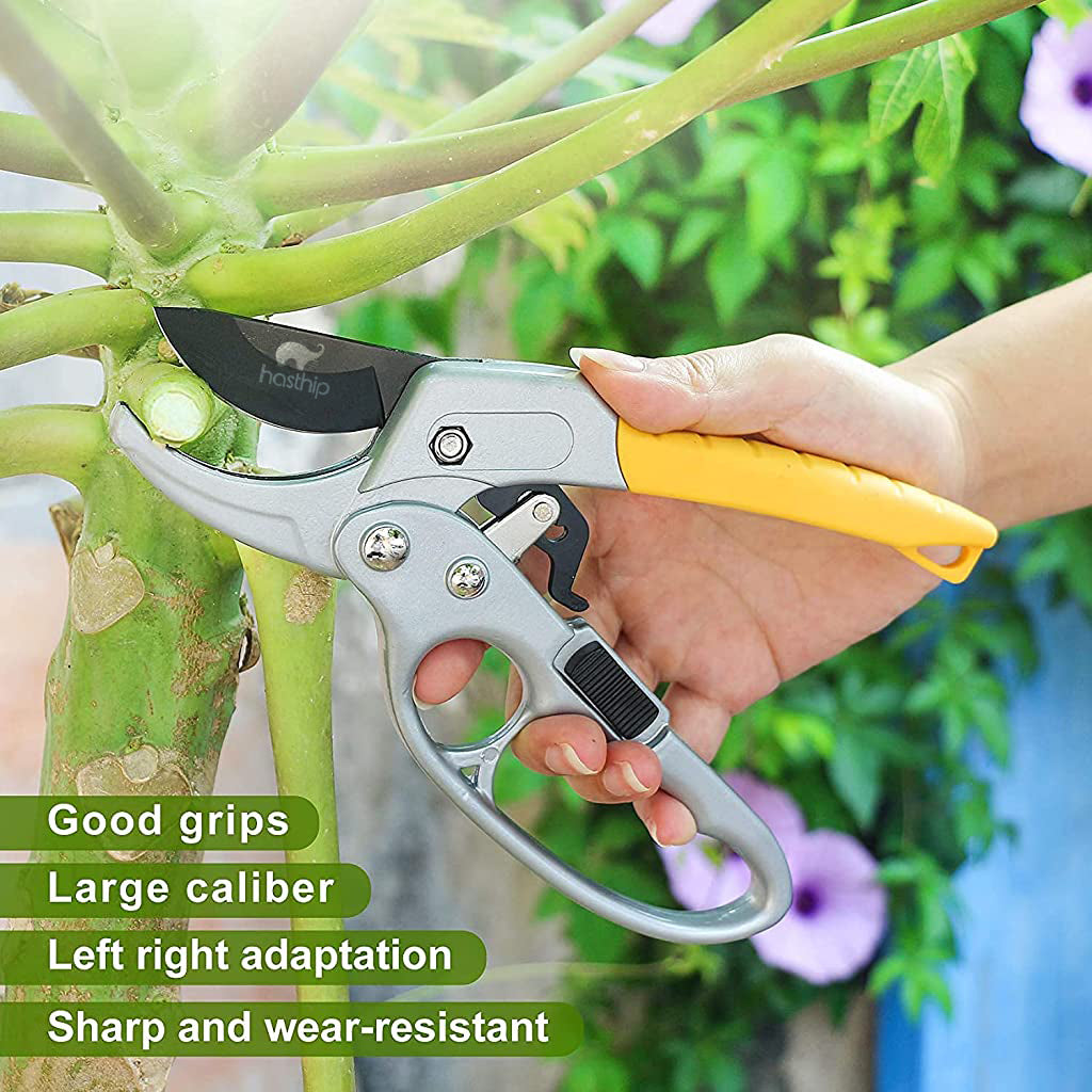 HASTHIP Gardening Scissor Stainless Steel Garden Snip with Safety Lock Garden Shears Sharp Cutter Pruners Scissor for Lawn, Garden & Potted Plants (A)