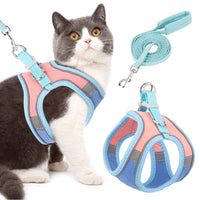 Qpets Cat Harness with Cat Leash for Walking, Adjustable Soft Sturdy Faux Suede Escape Proof Kitten Vest Harness and Leash with Reflective Strip for Large Medium Small Cat(Blue, Pink, M)